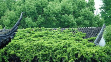 Klasik Çin bahçe binaları Çin Suzhou manzaralı