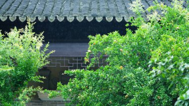 Klasik Çin bahçe binaları Çin Suzhou manzaralı