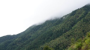 Yeşil ormanı olan güzel dağlar ve Çin kırsalının arka planında küçük bir köy.