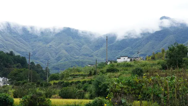 Yeşil ormanlı güzel dağlar ve yağmurlu günlerde arka planda kalan küçük köyler.