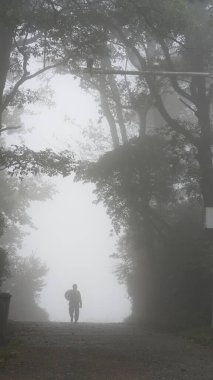 Yoğun sisli bir günde sisli köy manzarası