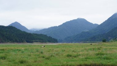 Yeşil ormanı olan güzel dağlar ve Çin kırsalının arka planında küçük bir köy.