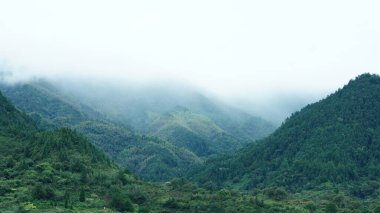 Yeşil ormanı olan güzel dağlar ve Çin kırsalının arka planında küçük bir köy.