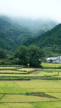 Yeşil ormanı olan güzel dağlar ve Çin kırsalının arka planında küçük bir köy.