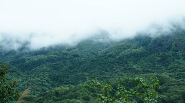 Yeşil ormanı olan güzel dağlar ve Çin kırsalının arka planında küçük bir köy.