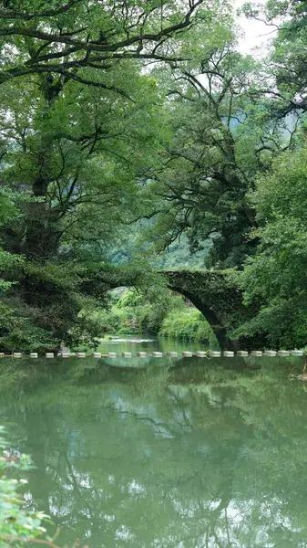 Çin 'in güney kırsalında eski kemerli taş köprüsü olan geleneksel bir Çin köyü manzarası.