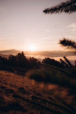 Bu nefes kesici fotoğraf, sakin bir dağ manzarasının üzerinde yükselen altın bir gündoğumunu yakalar. Güneş ışınları, aşağıdaki vadilerde gezinen sisi hafifçe aydınlatır. Ön plandaki ağaç siluetleri derinlik ve karşıtlık ekler