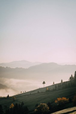 Sis kaplı vadilerin ve yumuşak bir gökyüzünün altında yuvarlanan yeşil tepelerin huzurlu sabah manzarası kırsal kesimin huzur veren güzelliğini yakalıyor..