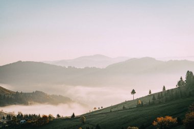 Sis kaplı vadilerin ve yumuşak bir gökyüzünün altında yuvarlanan yeşil tepelerin huzurlu sabah manzarası kırsal kesimin huzur veren güzelliğini yakalıyor..