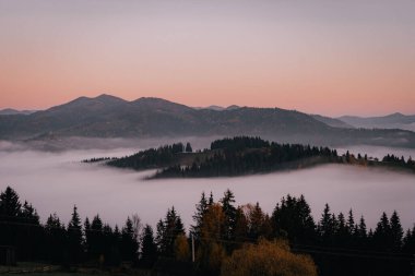 Sabahın erken saatlerinde, ağaçlarla kaplı dağların üzerinde yuvarlanan sisli bir manzara, şafağın yumuşak pembe renkleriyle yıkanmış..