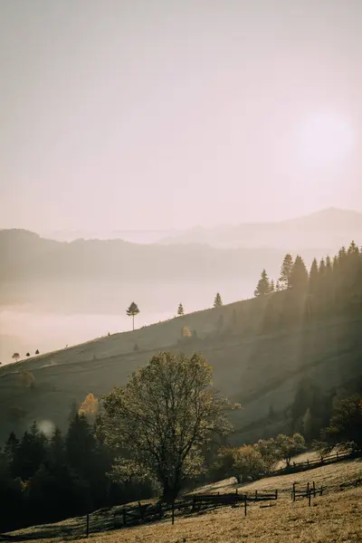 stock image A peaceful morning view of mist-covered valleys and rolling green hills under a soft sky, capturing the serene beauty of the countryside.