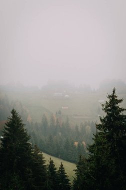 A peaceful rural valley covered in a blanket of fog, with pine trees in the foreground and a small, quiet village nestled among the misty hills. The scene captures the serene beauty of a foggy morning clipart