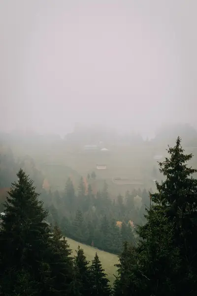 stock image A peaceful rural valley covered in a blanket of fog, with pine trees in the foreground and a small, quiet village nestled among the misty hills. The scene captures the serene beauty of a foggy morning