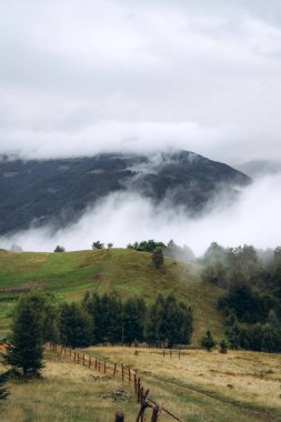 Bu sakin fotoğraf yuvarlanan yeşil tepelerin üzerinde puslu bir sabah yakalar, alçak bulutlar manzarayı nazikçe sarar. Yumuşak sis, doğal güzelliği vurgulayan mistik bir atmosfer yaratır.