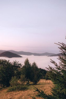 Bu sakin fotoğraf, sislerle kaplı dağ vadisini yıkarken sabahın erken saatlerindeki narin parıltıyı yakalar. Ön plandaki bulanık çiçeklere odaklanmak sıcak ve samimi bir dokunuş katıyor.