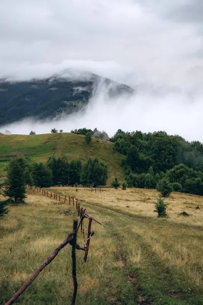 stock image This serene photograph captures a misty morning over rolling green hills, where low clouds gently envelop the landscape. The soft fog creates a mystical atmosphere, highlighting the natural beauty and