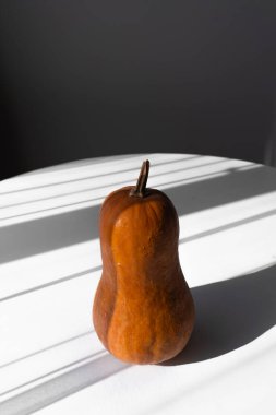 Parlak turuncu bir balkabağı beyaz bir masaya yerleştirilmiş, güneş ışığıyla aydınlatılmış. Bu resim sonbahar, hasat, Cadılar Bayramı ve Şükran Günü projelerinde kullanılmak için uygundur..