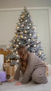 Güzel dekore edilmiş bir Noel ağacının yanında mor bir kazak giyen bir kadın Chihuahua 'sıyla etkileşime girer. Festival sahnesinde hediyeler, altın süsler ve sıcak doğal ışıklandırma yer alıyor. Şey...