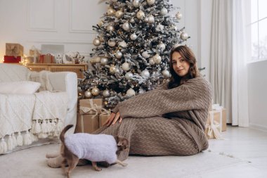 A young woman in a knitted outfit sits with her Chihuahua puppy by a snow-covered Christmas tree adorned with golden ornaments and gift boxes, creating a cozy holiday scene. clipart