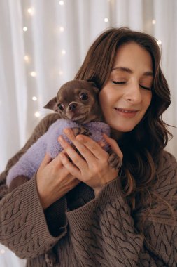 A tender moment of a woman in a knitted outfit holding her Chihuahua dog dressed in a purple sweater, with a soft festive background featuring warm lights and white curtains. clipart