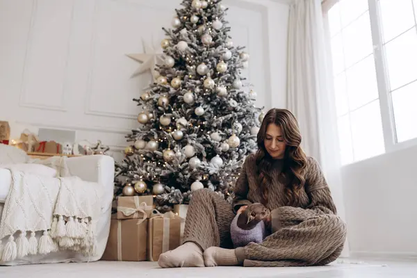 Örgü kıyafetli genç bir kadın, çuvava köpeğiyle birlikte altın süsler ve hediye kutularıyla süslenmiş bir Noel ağacının yanında oturur ve rahat bir tatil sahnesi yaratır..