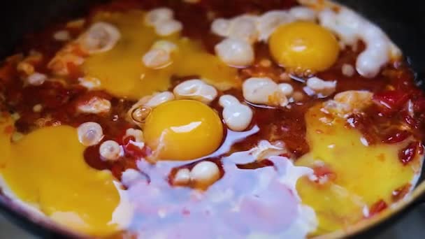 把鸡蛋和蔬菜放在一个煎锅里 放在特写镜头下煎 Shakshuka做饭健康的新鲜蔬菜 蔬菜分类 — 图库视频影像