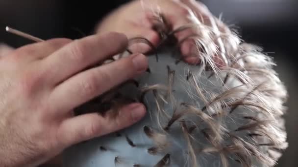 Stylista Připravuje Klientovi Vlasy Pro Zvýraznění Procesu Kadeřník — Stock video