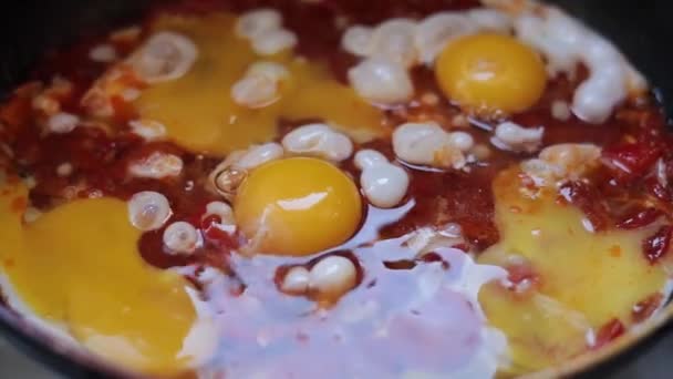 Freír Los Huevos Las Verduras Una Sartén Cerca Shakshuka Cocinando — Vídeos de Stock