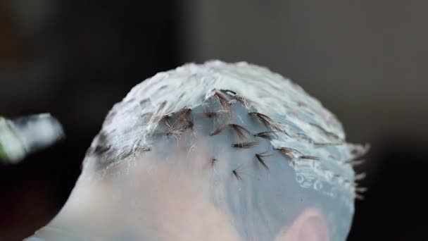 미용사는 클라이언트의 머리에 색상을 적용합니다 하이라이트 — 비디오
