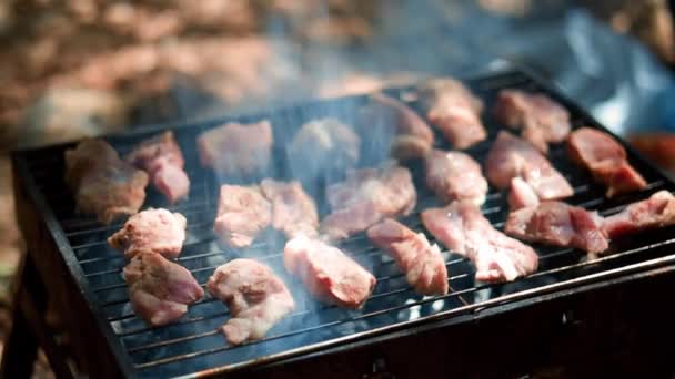Кебабы Готовятся Гриле Открытом Воздухе Жареное Сочное Свиное Мясо Жарят — стоковое видео