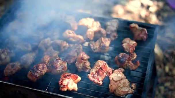 Kebaby Vaří Venku Grilu Pečené Šťavnaté Vepřové Maso Smaží Grilu — Stock video