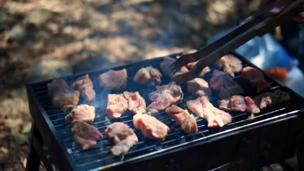 ケバブは屋外のグリルで調理されています ローストジューシーな豚肉は グリルで揚げられ クローズアップされます バーベキュー 夏のピクニックで煙を被った石炭のケバブ ピクニック — ストック動画