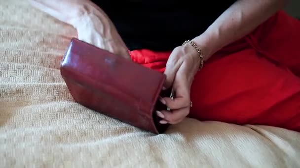 Руки Девушки Кладущей Деньги Покупки Красный Бумажник Деньги — стоковое видео