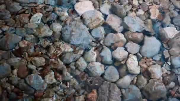 下の小石が付いている明確な波の川のトップの眺め クローズアップ 自然観という概念 スローモーション 純粋な水 — ストック動画