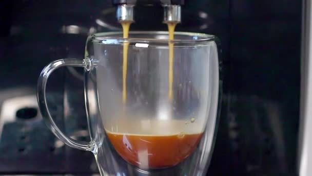 Modern Coffee Machine Pours Delicious Coffee Transparent Cup Standing Metal Royalty Free Stock Video