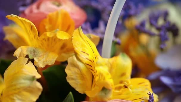 Krásná Stylová Kytice Různých Barevných Květin Slavnostní Kytice Růžové Modré — Stock video