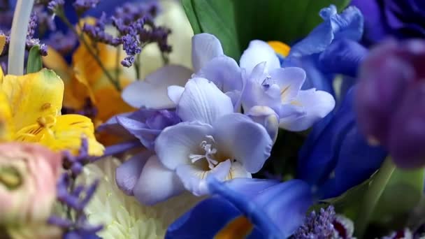 Krásná Stylová Kytice Různých Barevných Květin Slavnostní Kytice Růžových Modrých — Stock video