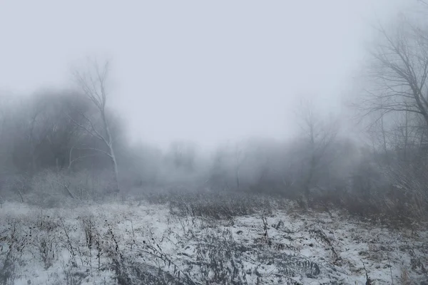 Köd Havas Réten — Stock Fotó