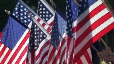 Amerikan bayrakları aynı anda sallanıyor.