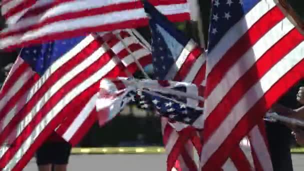 Группа Американских Флагов Размахивается Унисон — стоковое видео