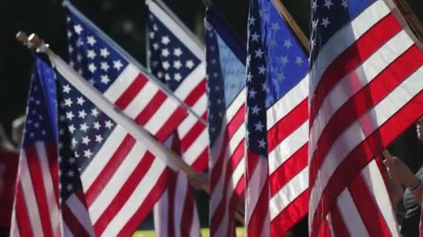 Amerikan Bayrakları Aynı Anda Sallanıyor — Stok video