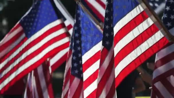 Група Американських Прапорів Коливається Унісон — стокове відео