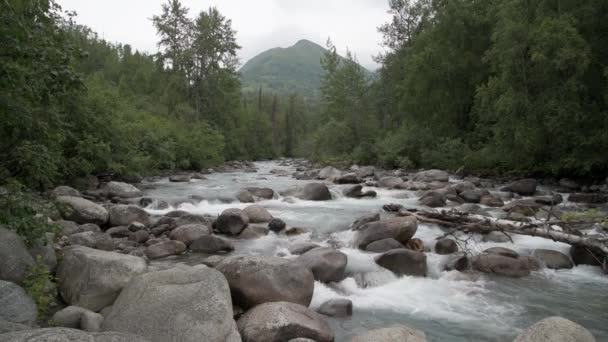 フィッシュホック アラスカ リトル サザン川 中央アラスカの313マイルの川です アメリカ合衆国で15番目に大きな川である タリクナ山脈のハッチャーパスに由来する — ストック動画