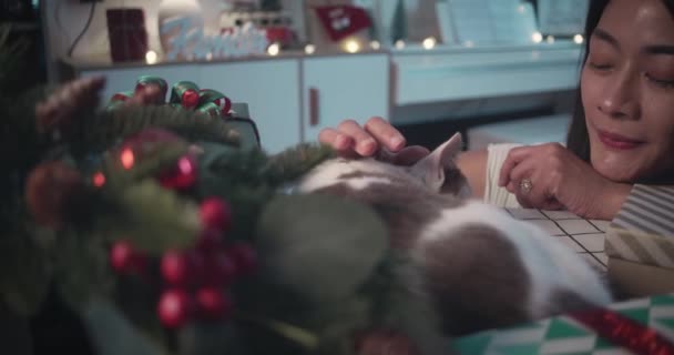 Напередодні Різдва Жінка Погладжує Свого Кота Вдома — стокове відео