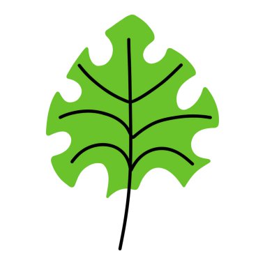 Beyaz arka planda şirin yeşil bir tropikal yaprak. Vektör el çizimi çizgi film illüstrasyonu.