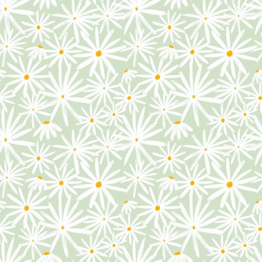 Açık Yeşil Arkaplanda Beyaz Papatya Çiçeklerinin Kusursuz Şablonu. Vektör illüstrasyonu