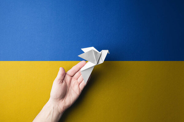 hand releases white paper dove against the background of yellow and blue flag of ukraine. concept needs help and support, truth will win