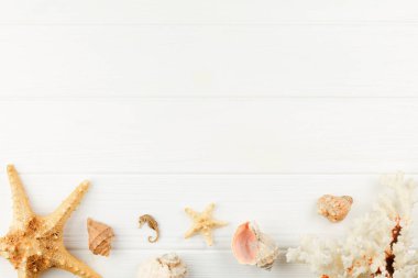 Deniz kıyısı afişi. Beyaz ahşap arka planda deniz kabukları ve deniz yıldızları. Üst Manzara. Plaj tatili kavramı. Deniz atı ve yumuşakça bir hatıra. Düz yatıyordu.