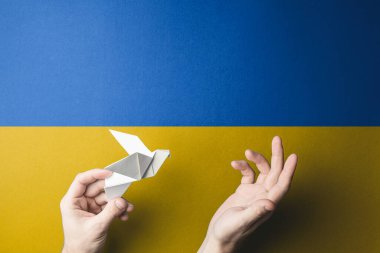 two hands releases white paper bird against background of blue yellow flag of ukraine. concept needs help and support, truth will win