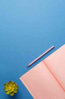 Kalemli pembe defter ve mavi izole arka planda yeşil yapraklı ev bitkisi. Düz yatıyordu. Üst Manzara. Dikey fotoğraf